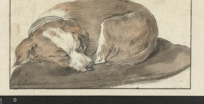 Sovande hund av Cornelis Saftleven