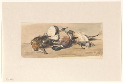 Stilleben med fyra ankor av Cornelis Springer