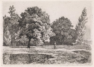Landskap med träd, sjö och en kvinna Femte svit (serietitel) av Cornelis Steffelaar