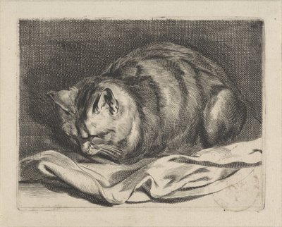 lilla katt av Cornelis Visscher (II)