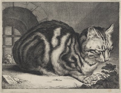 Den stora katten av Cornelis Visscher (II)