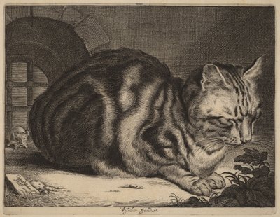 Den stora katten av Cornelis Visscher