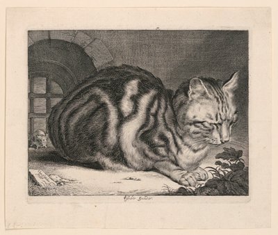Den stora katten av Cornelis Visscher