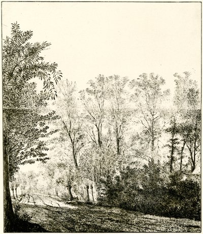 Stig genom en skog av Hendrick Cornelisz. Vroom