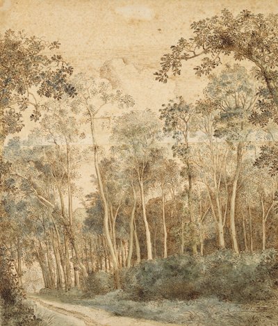 Skogbevuxen landskap (penna och brunt bläck och wc på papper) av Hendrick Cornelisz. Vroom
