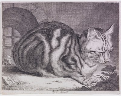 Den stora katten av Cornelis de Visscher