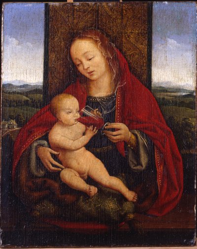 Madonnan och barnet tronade av Cornelis van Cleve