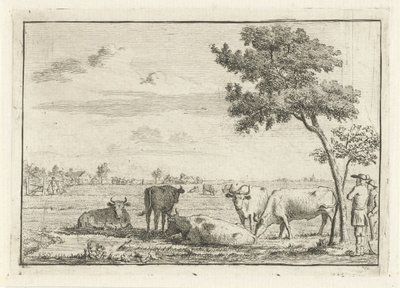 Fem kor på en äng av Cornelis van Noorde