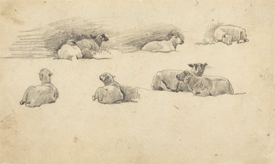 Studie av får av Cornelius Varley