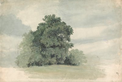 Studie av träd vid kanten av ett fält av Cornelius Varley