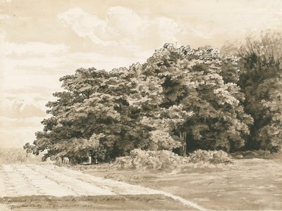 Wrottesley Hall - The Shrubbery: sepiateckning, 1820 av Cornelius Varley