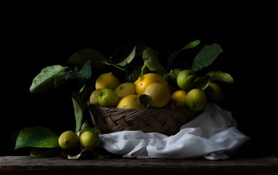 Rustik citronkorg av Corrado La Licata