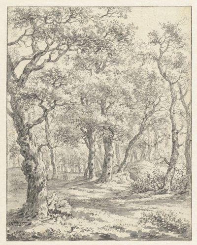 skogslandskap av Couwenhoven