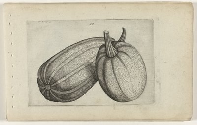 Två meloner Know the Lilies (serietitel) av Crispijn van de Passe (I) (attributed to)