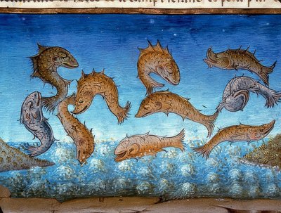 Världens ände: fisken kommer att simma ovanför (c.147r). 1476 av Cristoforo De Predis