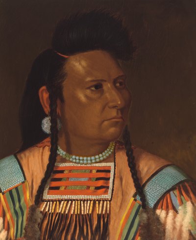 Chef Joseph, juni 1878. av Cyrenius Hall
