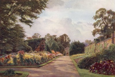 Tidiga krysantemum, Claremont (färg litho) av Cyril Ward