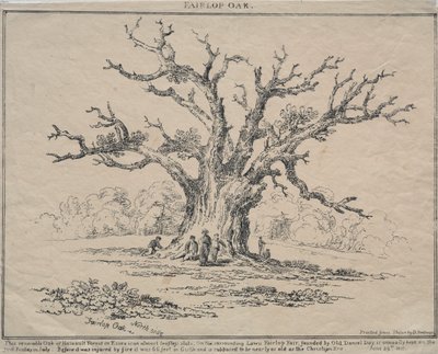 Fairlop Oak, 1811. av D. H. Redman