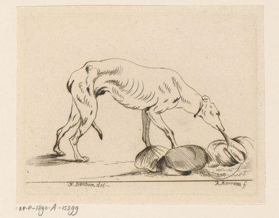 äter hund av D. Merrem