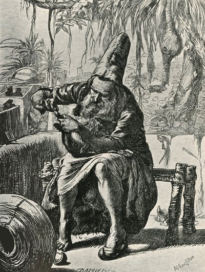 The Dervise plockar håren från Cats Tail, 1906. av Dalziel Brothers