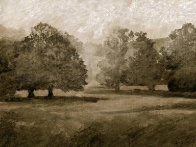 Slottets omgivningar av Dan Hobday