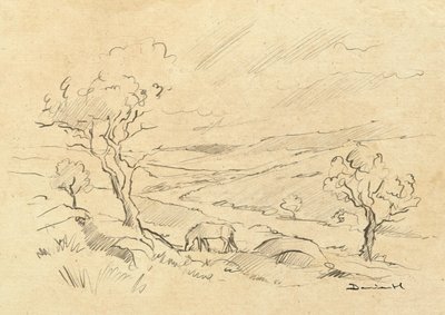Dartmoor-ponny av Dan Hobday