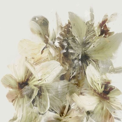Bergsblommor av Dan Hobday