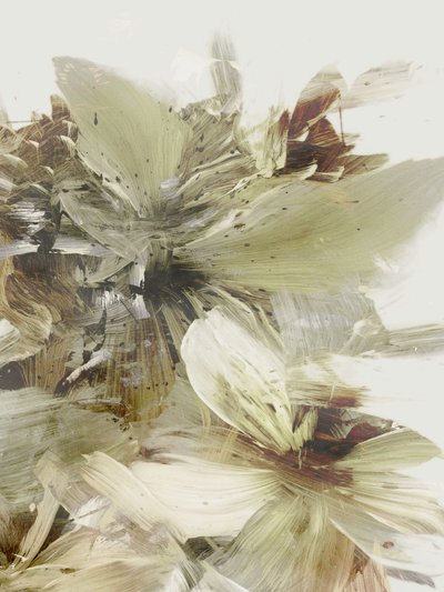 Bergsblommor 2 av Dan Hobday