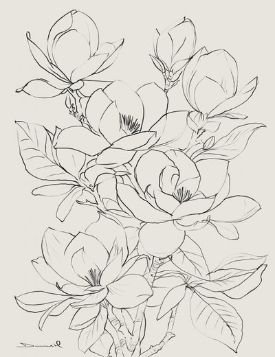 Magnoliaträd av Dan Hobday