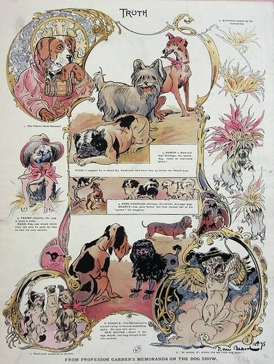 Lättsam och humoristisk skildring av hundar på en hundutställning av Daniel Carter  Beard