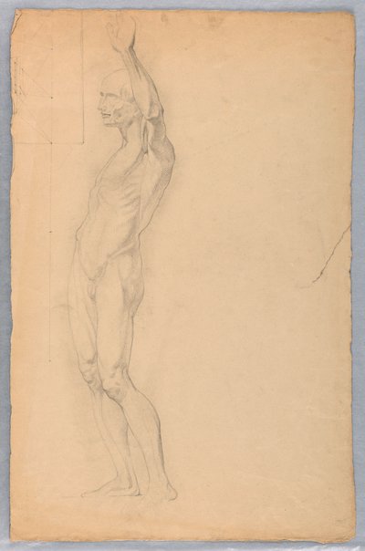 Teckning, Anatomisk studie av man, ca 1850 av Daniel Huntington