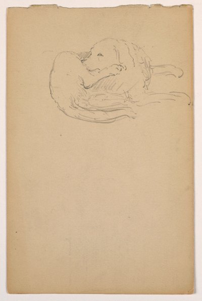 Teckning, Dash (en setter), ca 1862 av Daniel Huntington