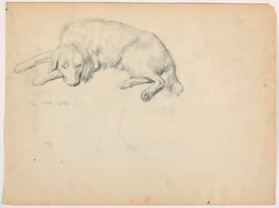 Teckning, Dash (en setter), ca 1862 av Daniel Huntington