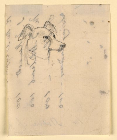 Teckning, hundhuvud, troligen Milo (en pointer), ca 1862 av Daniel Huntington