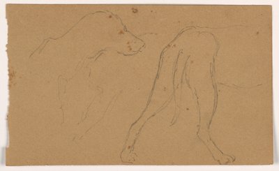 Teckning, Milo (en pointer), huvud och kropp, ca 1862 av Daniel Huntington