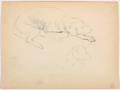 Teckning, Milo (en pointer), två studier, ca 1862 av Daniel Huntington