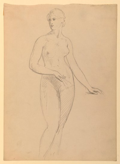 Ritning, fru Henry Schieffelin, S, 1881 av Daniel Huntington