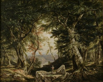 Glimtar från skogen, 1856 av Daniel Huntington