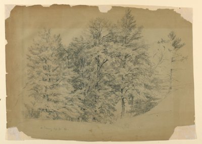 Studie av träd, North Conway, New Hampshire av Daniel Huntington