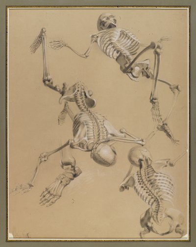 Studie av skelett, 1848 (krita på papper) av Daniel Huntington