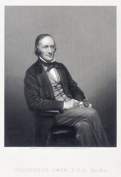 Sir Richard Owen, engelsk zoolog, c1860. av Daniel John Pound