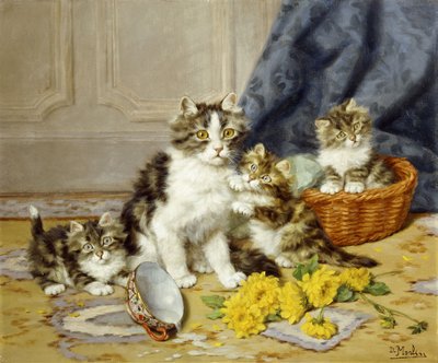 Lekfulla kattungar av Daniel Merlin