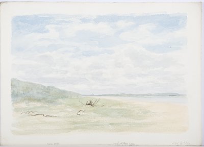 Holy Island, 1899 (penna och wc på papper) av Daniel Oliver