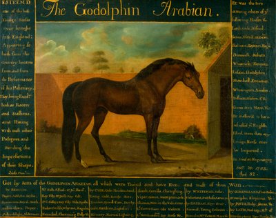 Godolphin Arabian av Daniel Quigley