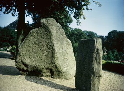Vikinga runstenar av Danish School
