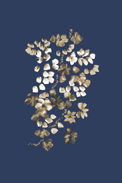 Gyllene blomsterkaskad av Danushka Abeygoda