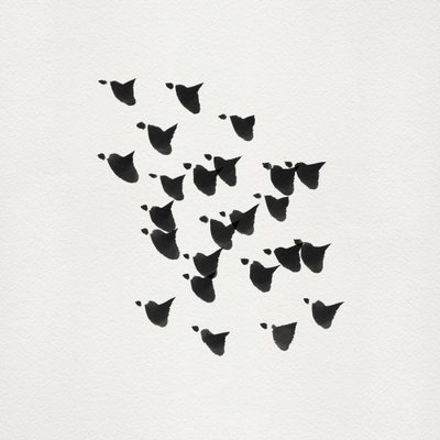 Minimalistisk fågelflygning av Danushka Abeygoda