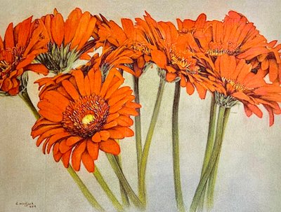 Orange Burst, 2019 (blyerts, akryl på papper) av Darrell Windjack
