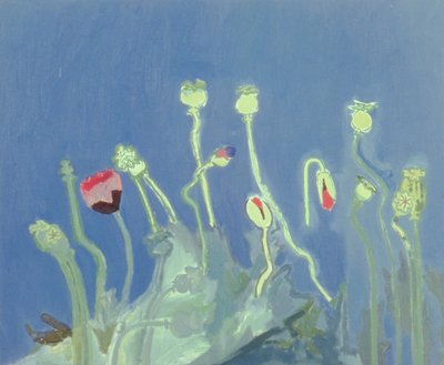 Poppyheads (olja på duk) av David Alan Redpath Michie