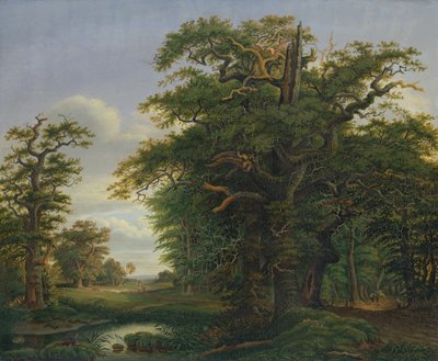 Ekträ, 1847 av David Christopher Mettlerkamp